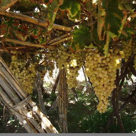 Jnane Tihihit Bed & Breakfast Lalla Takerkoust Dış mekan fotoğraf