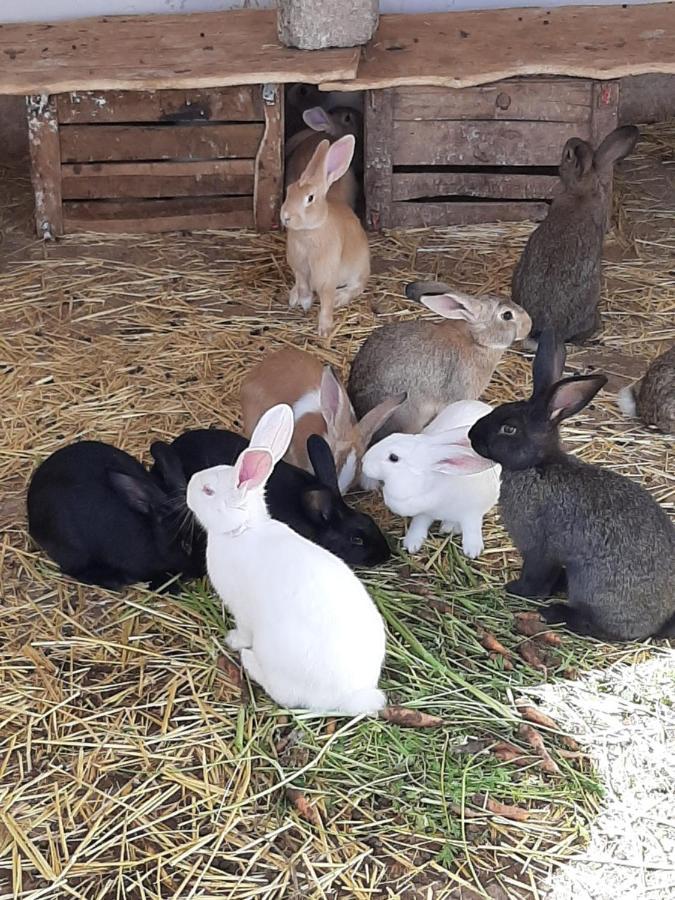 Jnane Tihihit Bed & Breakfast Lalla Takerkoust Dış mekan fotoğraf