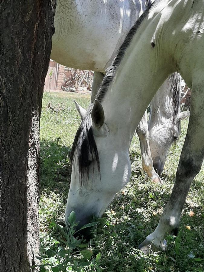 Jnane Tihihit Bed & Breakfast Lalla Takerkoust Dış mekan fotoğraf