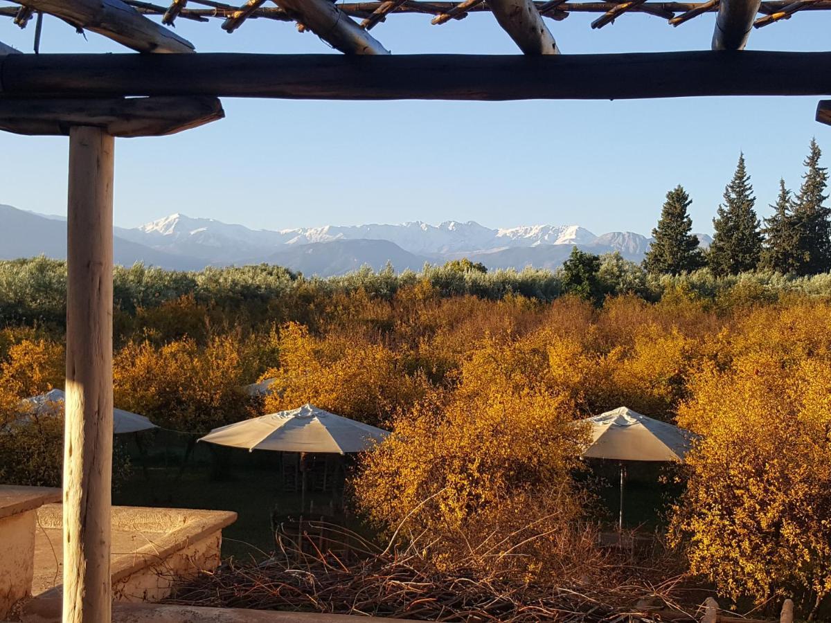 Jnane Tihihit Bed & Breakfast Lalla Takerkoust Dış mekan fotoğraf