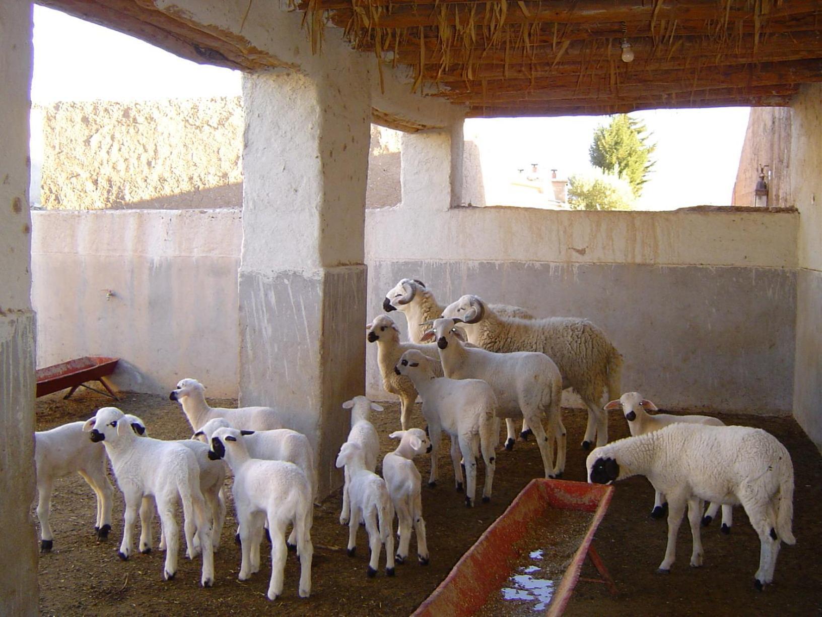 Jnane Tihihit Bed & Breakfast Lalla Takerkoust Dış mekan fotoğraf