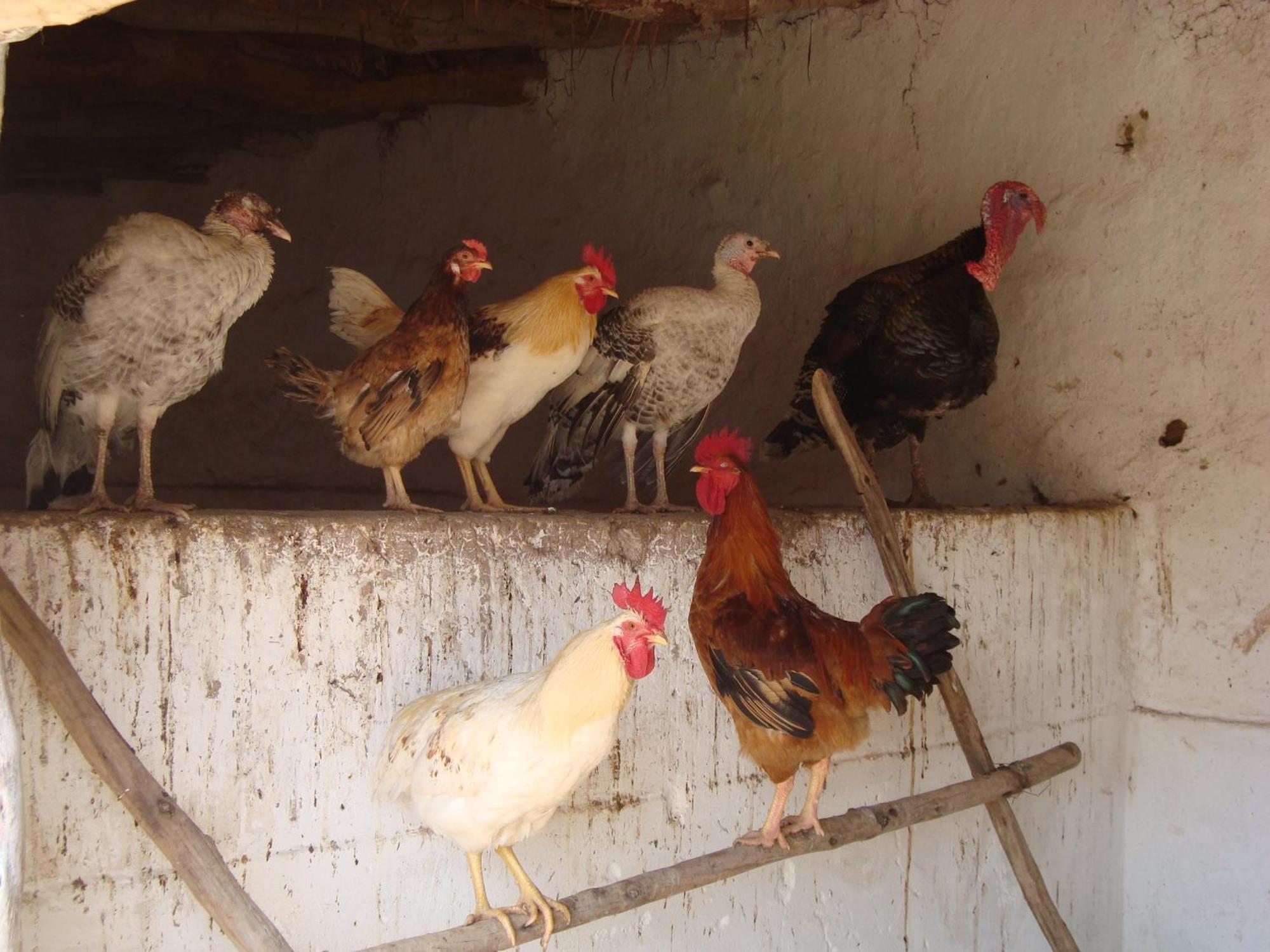Jnane Tihihit Bed & Breakfast Lalla Takerkoust Dış mekan fotoğraf
