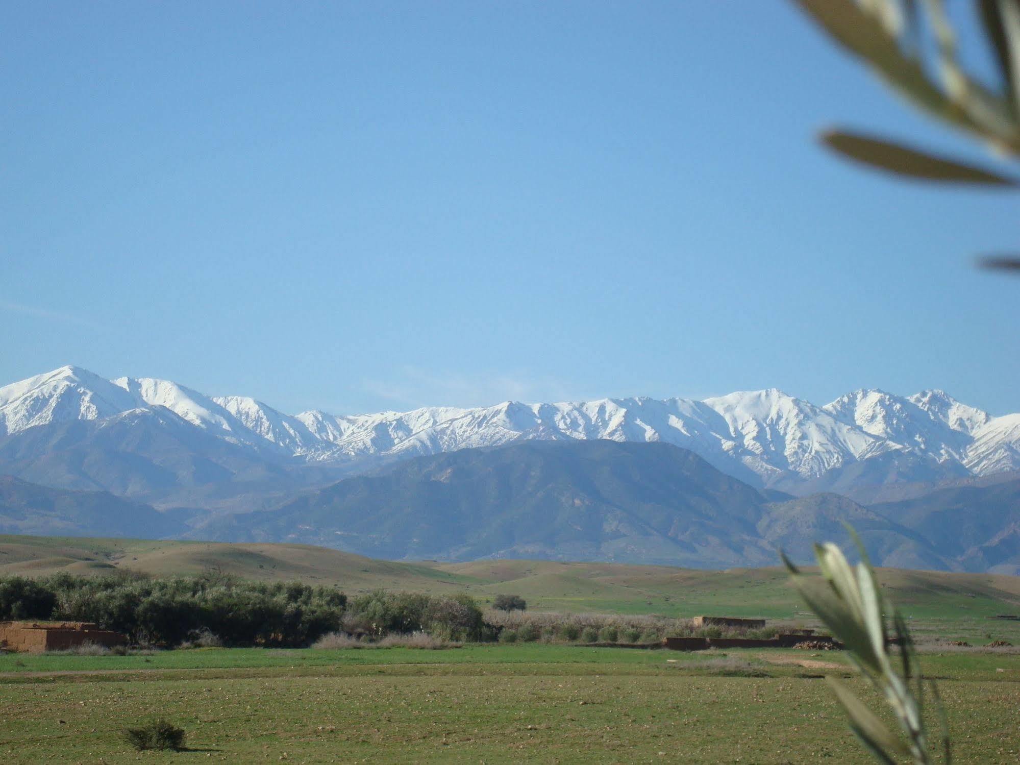Jnane Tihihit Bed & Breakfast Lalla Takerkoust Dış mekan fotoğraf